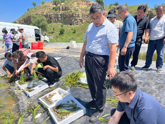色花堂
将青蟹养殖技术送到陕西省榆林市 学校供图.jpg 色花堂
将青蟹养殖技术送到陕西省榆林市 学校供图.jpg